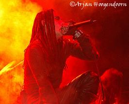 dani live 013